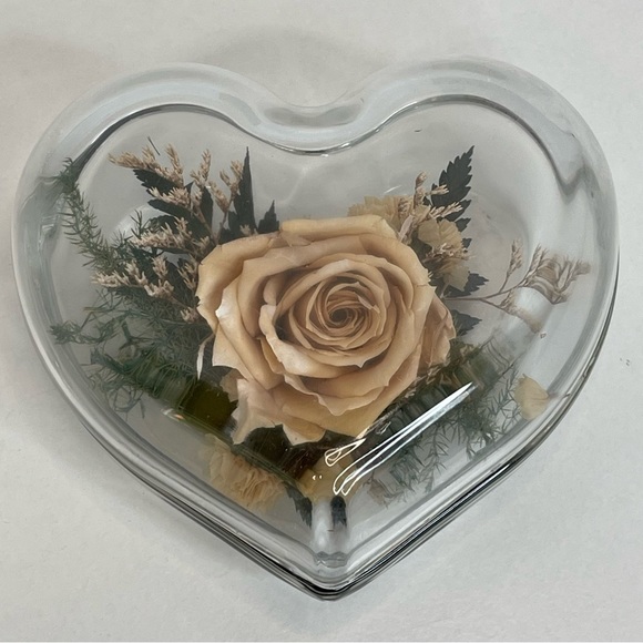 Natural Expressions Real Freeze Dried Rose Clear Glass Heart Paperweight Cottage - Picture 7 of 7